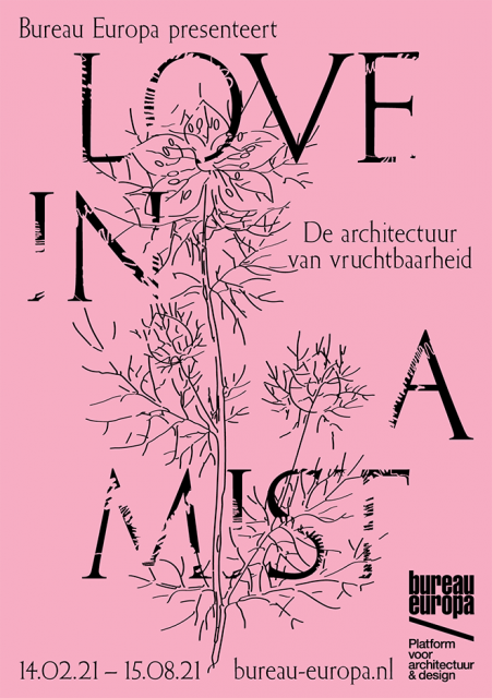 Love in a Mist